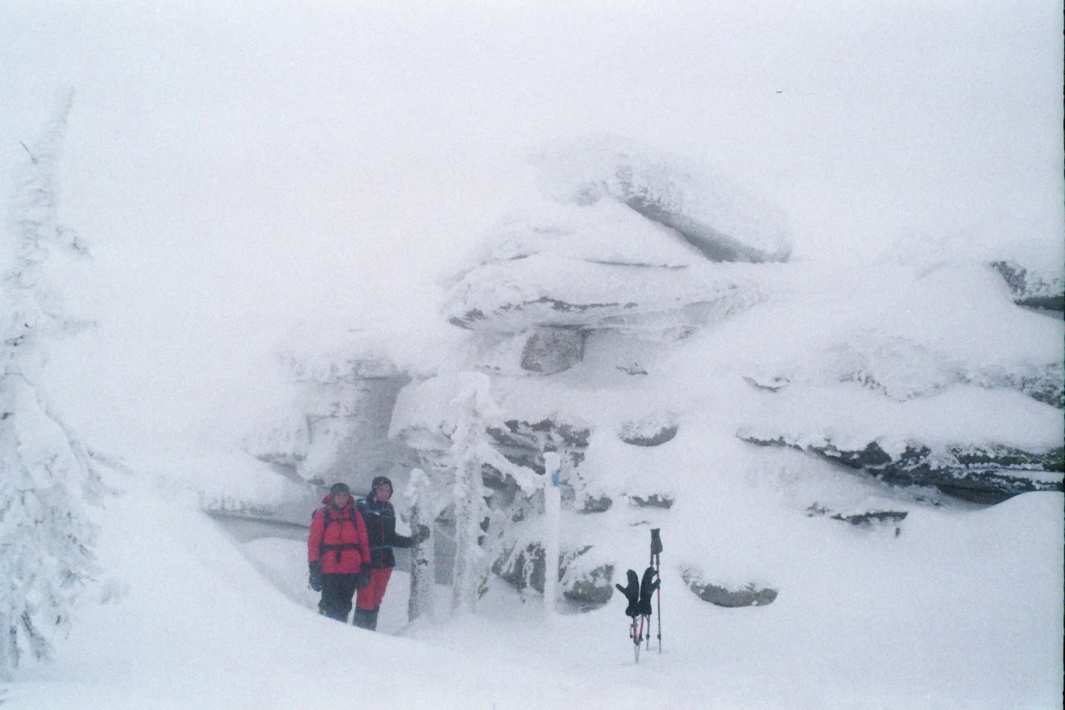 Dreisessel | © Dreisessel