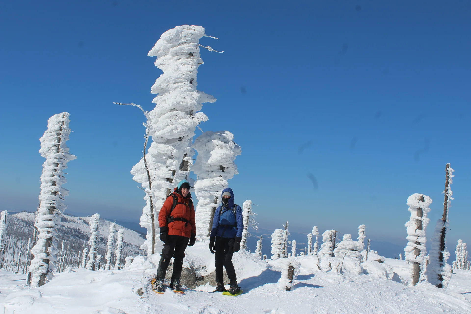 Plöckenstein | © Plöckenstein