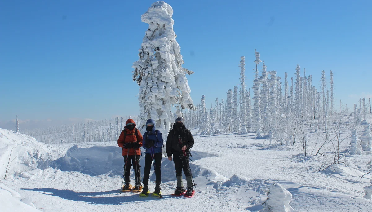 Plöckenstein | © Plöckenstein