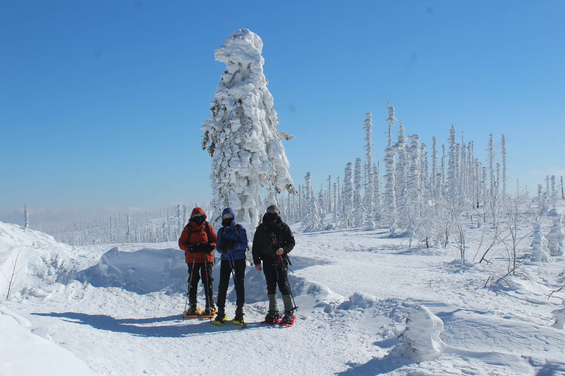 Plöckenstein | © Plöckenstein