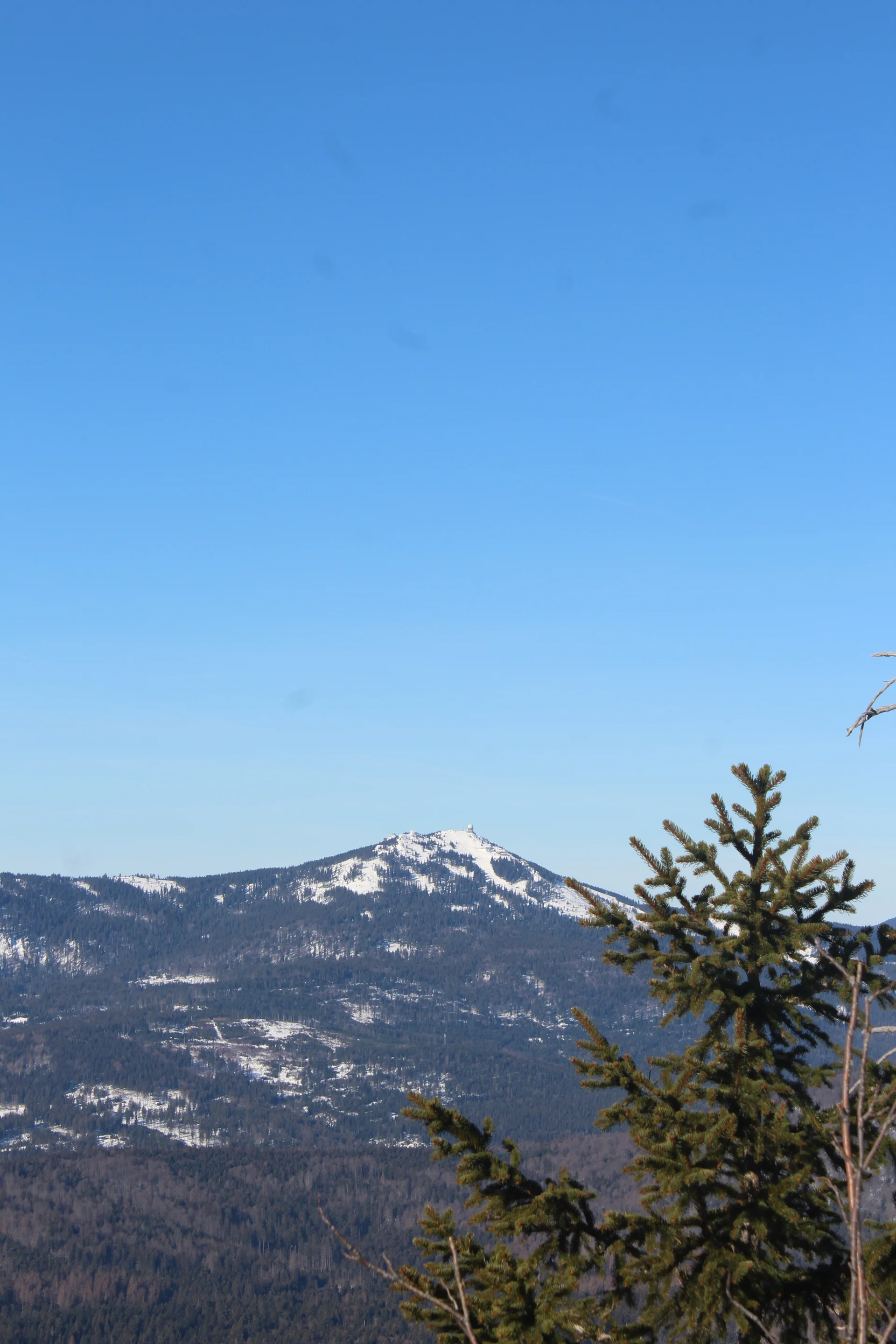 Falkenstein | © Falkenstein