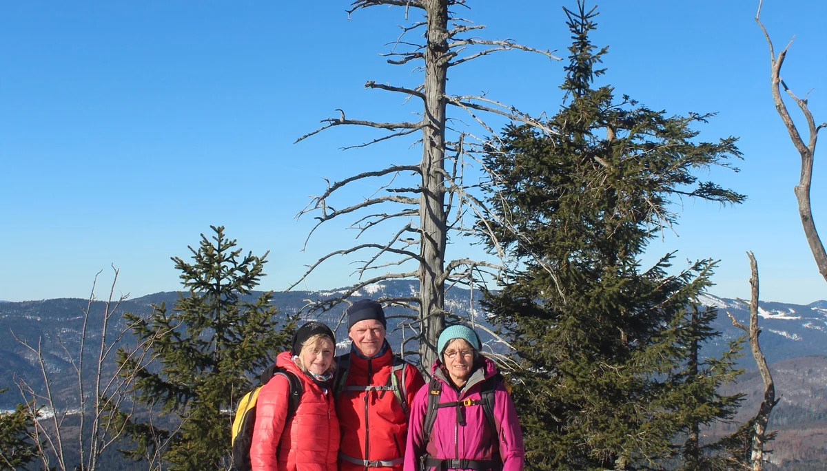 Falkenstein | © Falkenstein