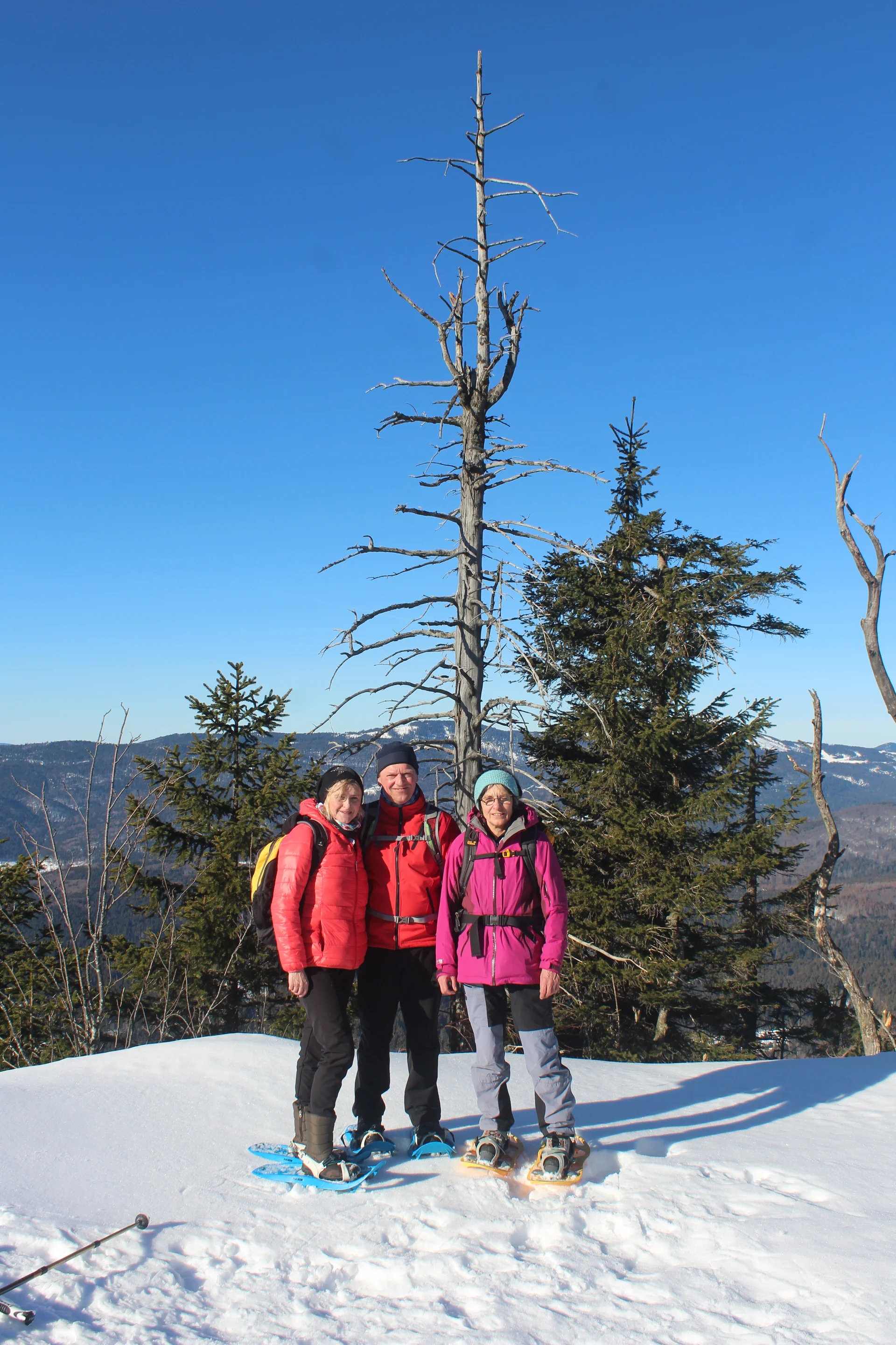 Falkenstein | © Falkenstein