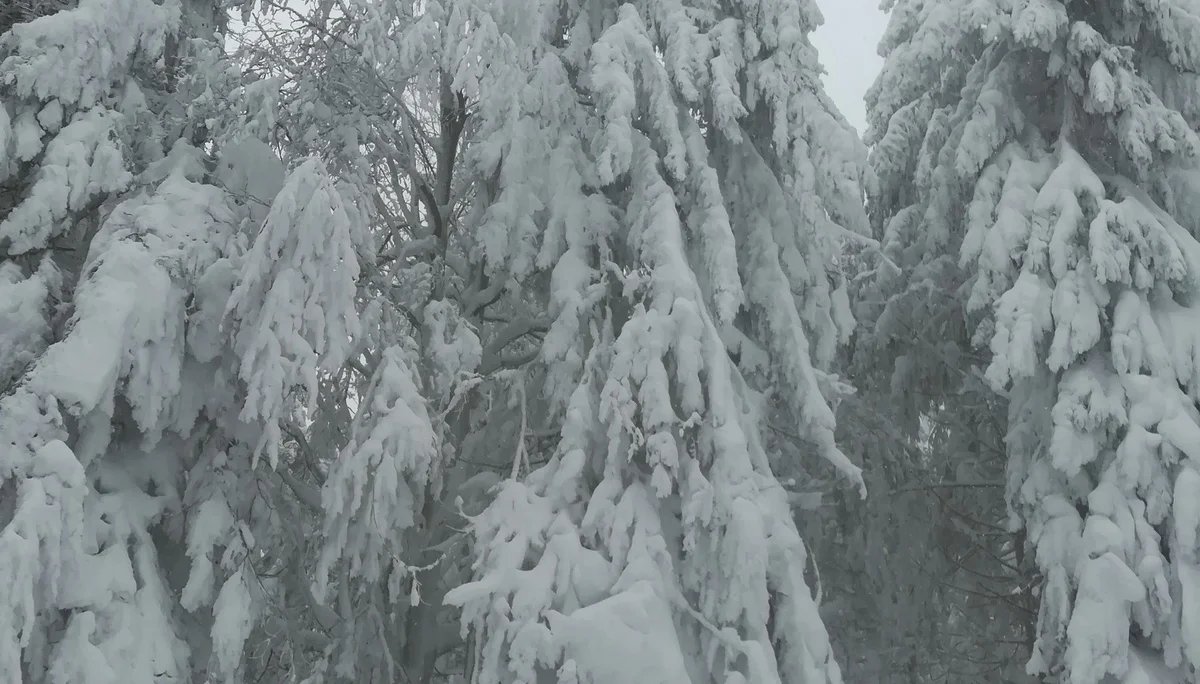 Landshuter Haus | © Landshuter Haus