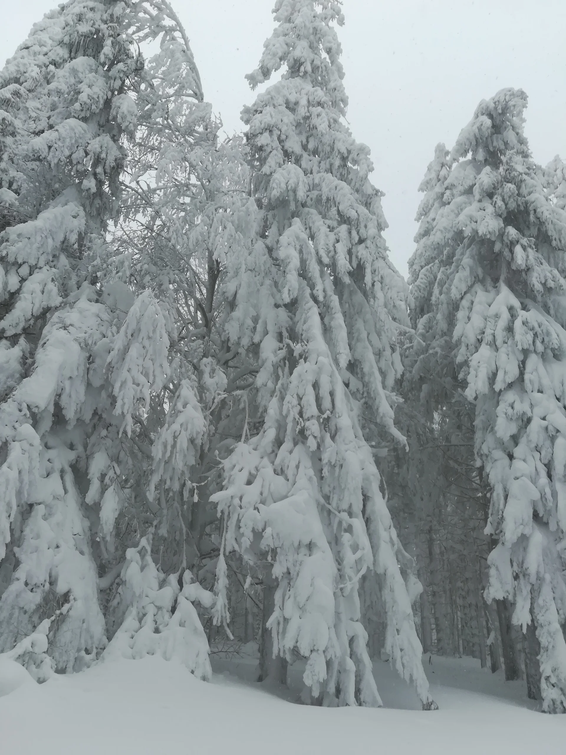 Landshuter Haus | © Landshuter Haus