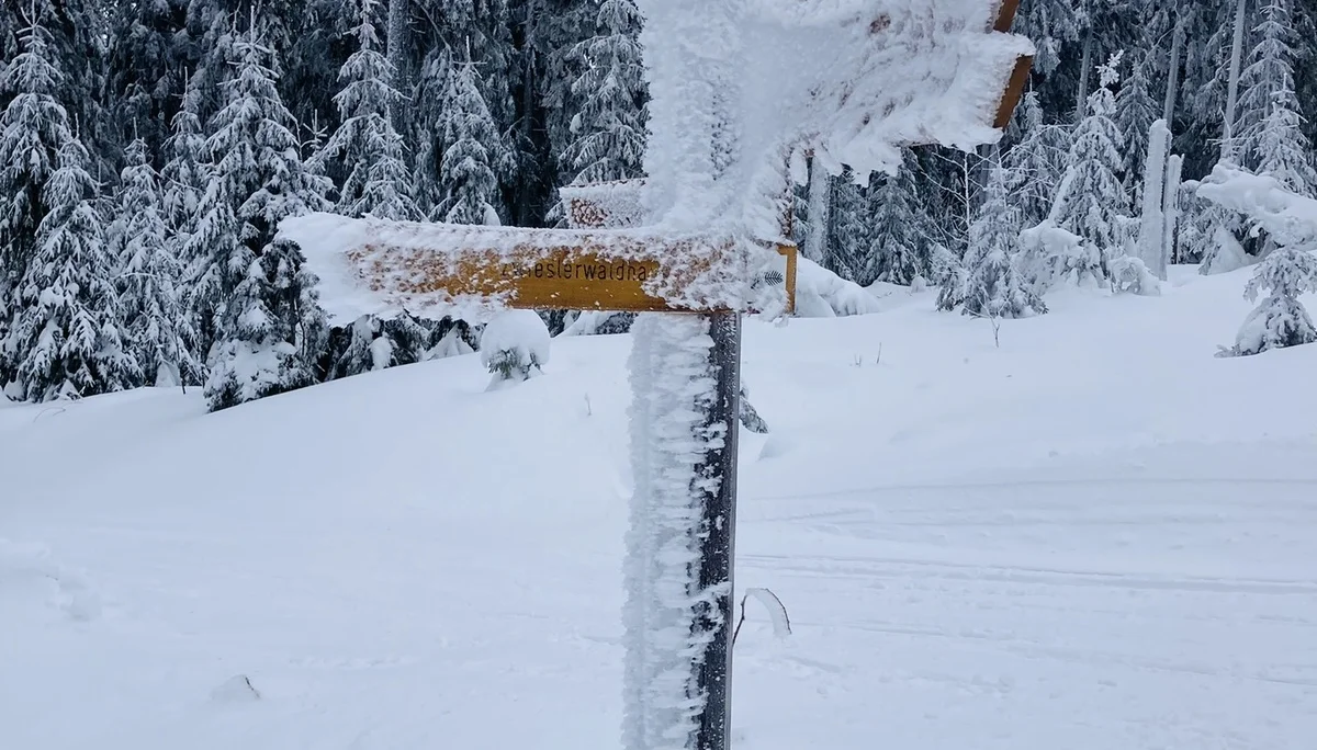 Falkenstein | © Falkenstein