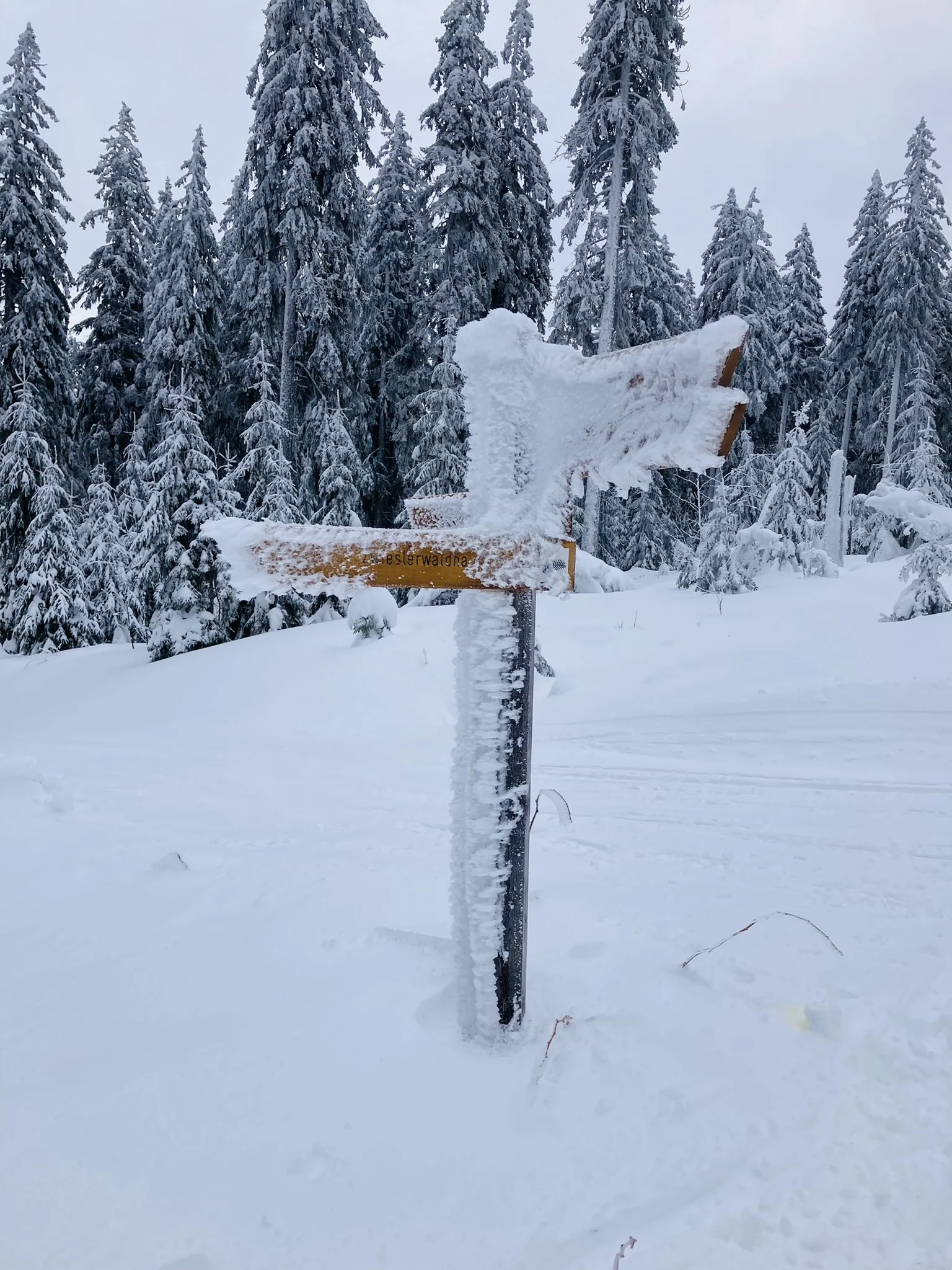 Falkenstein | © Falkenstein