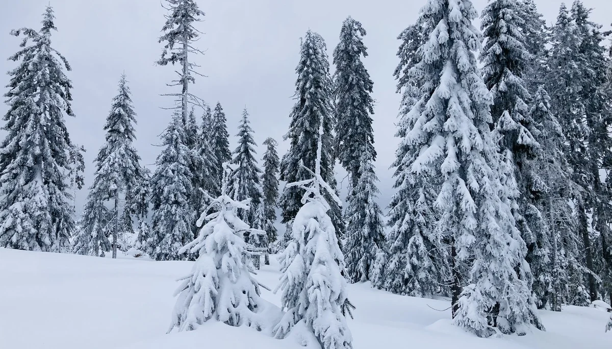 Falkenstein | © Falkenstein