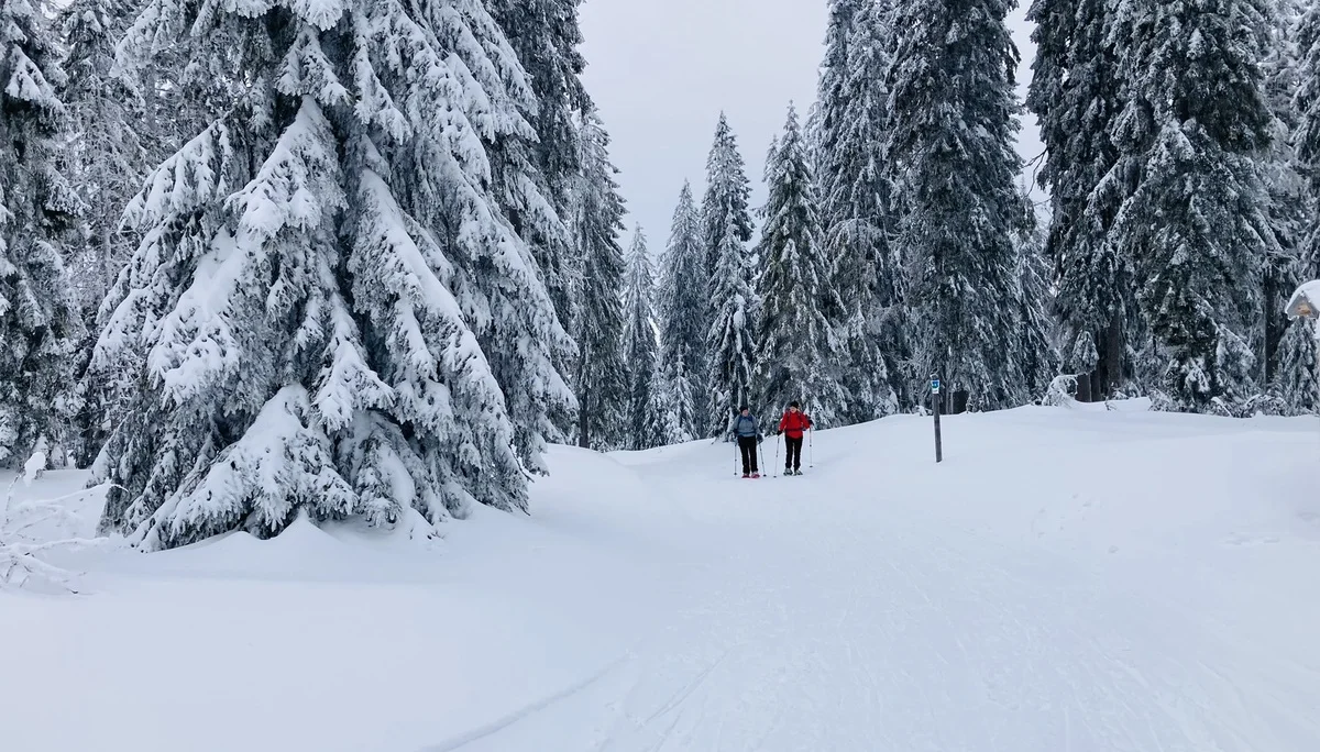 Falkenstein | © Falkenstein
