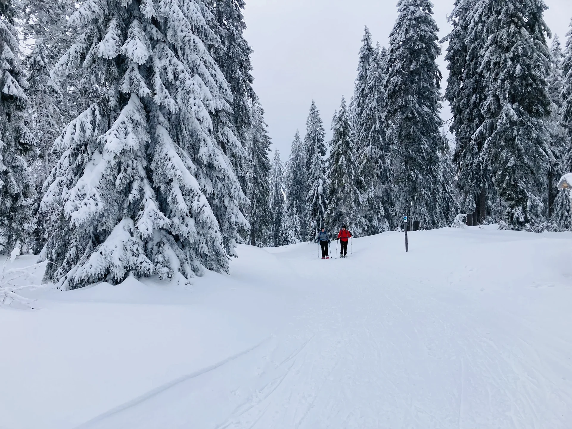 Falkenstein | © Falkenstein