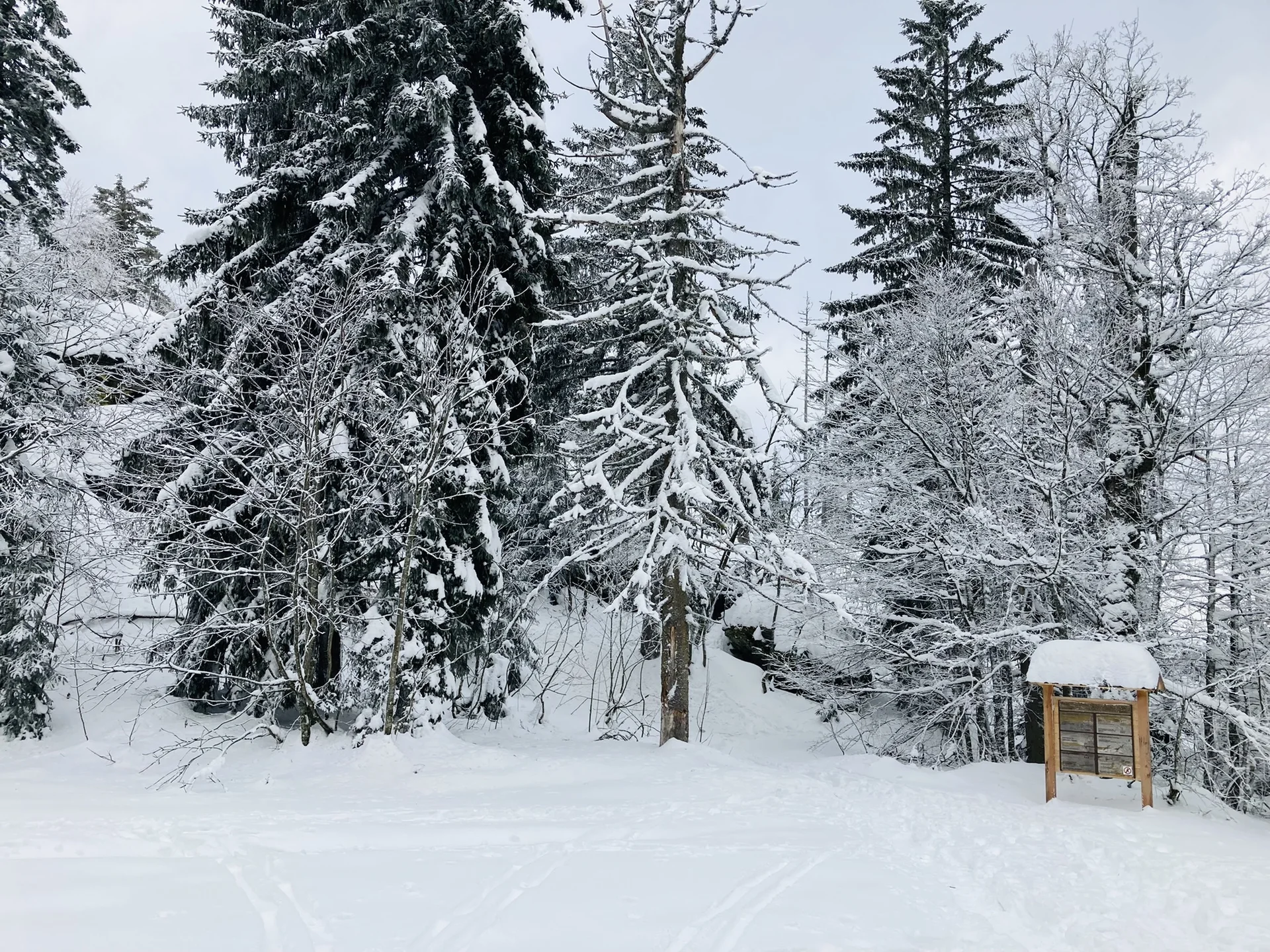 Falkenstein | © Falkenstein