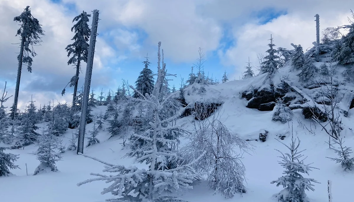 Falkenstein | © Falkenstein