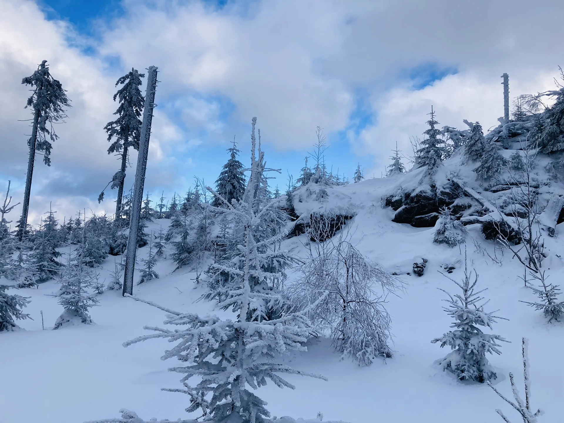 Falkenstein | © Falkenstein