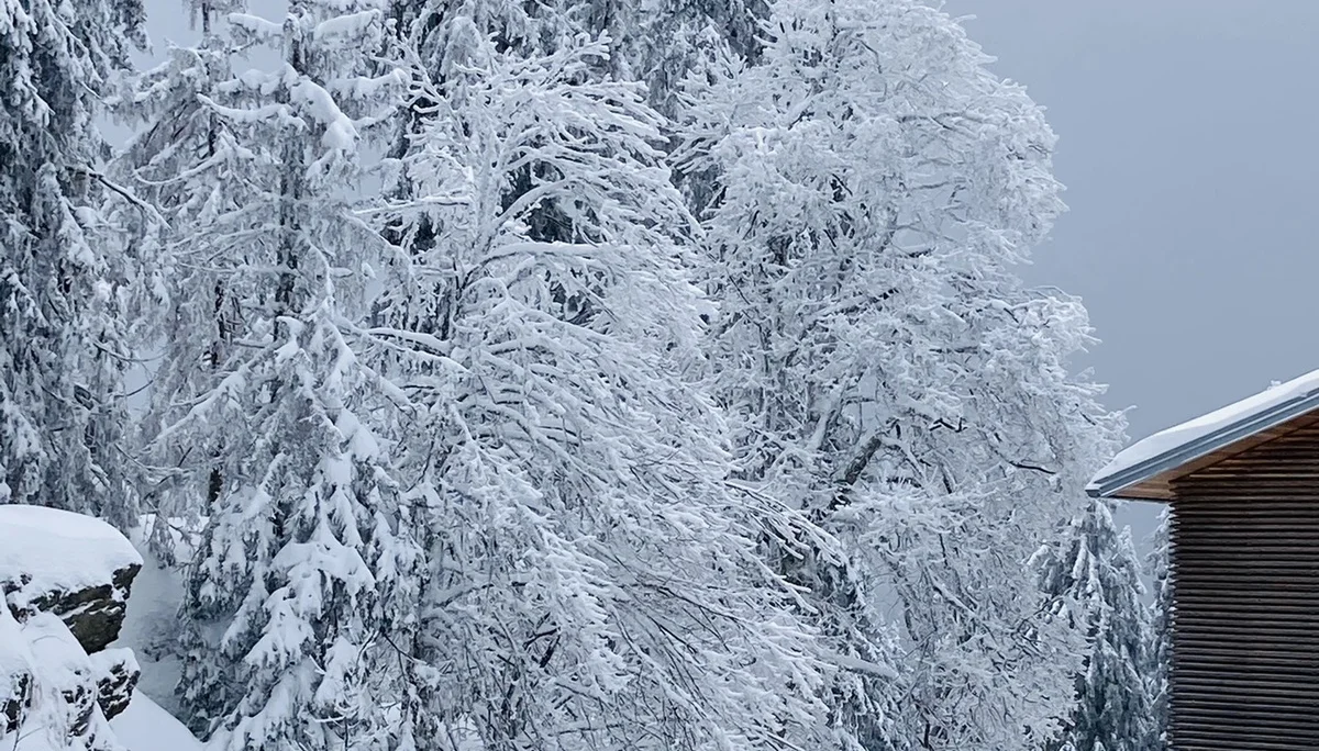Falkenstein | © Falkenstein