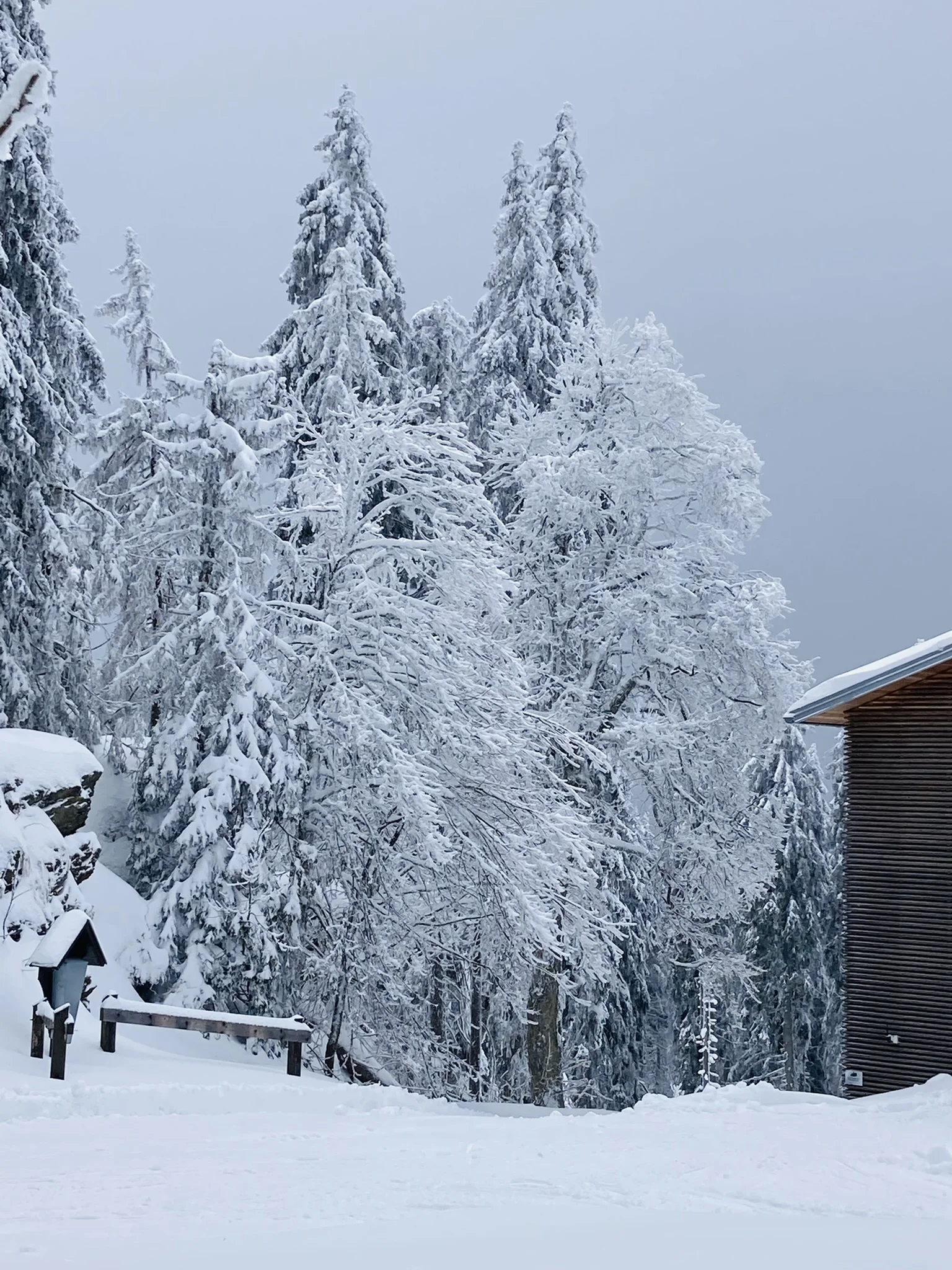Falkenstein | © Falkenstein