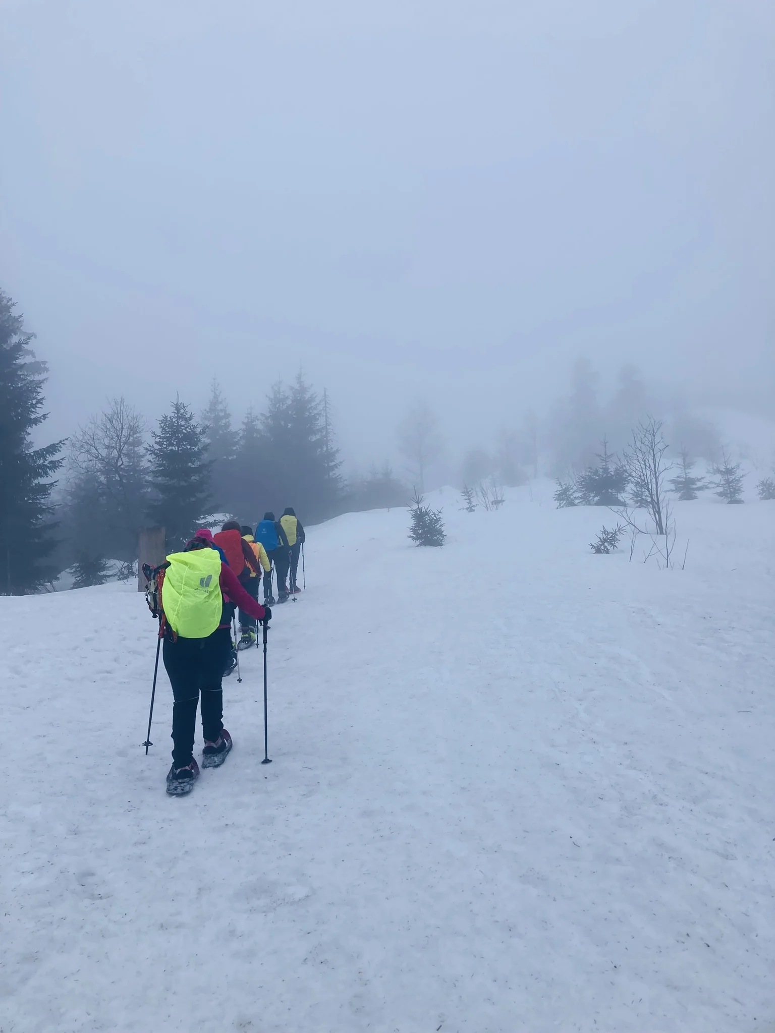 Mit Schneeschuhen auf den Großen Arber | © Killesreiter Marlene