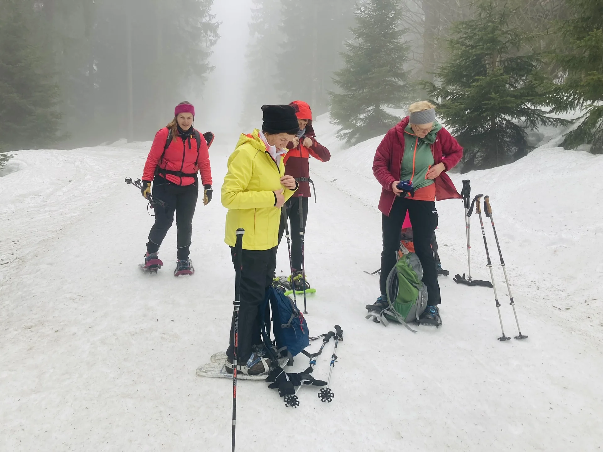 Mit Schneeschuhen auf den Großen Arber | © Killesreiter Marlene