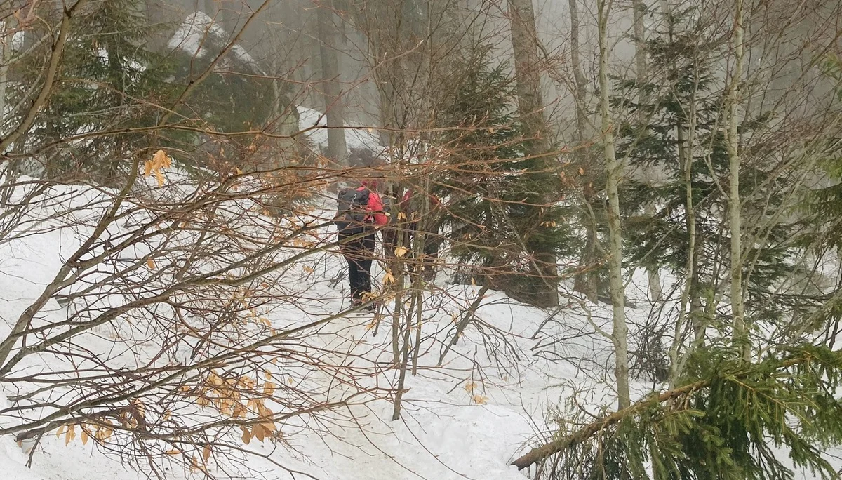 Mit Schneeschuhen auf den Großen Arber | © Killesreiter Marlene