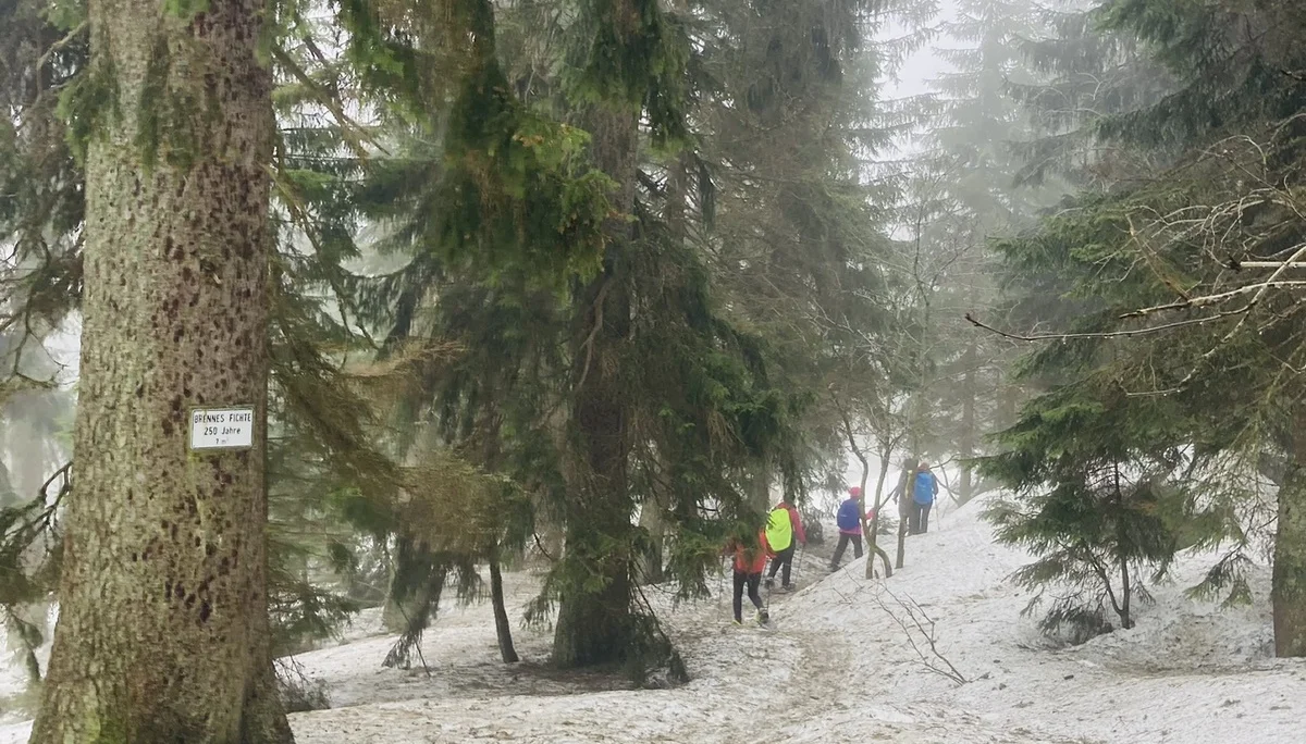 Mit Schneeschuhen auf den Großen Arber | © Killesreiter Marlene