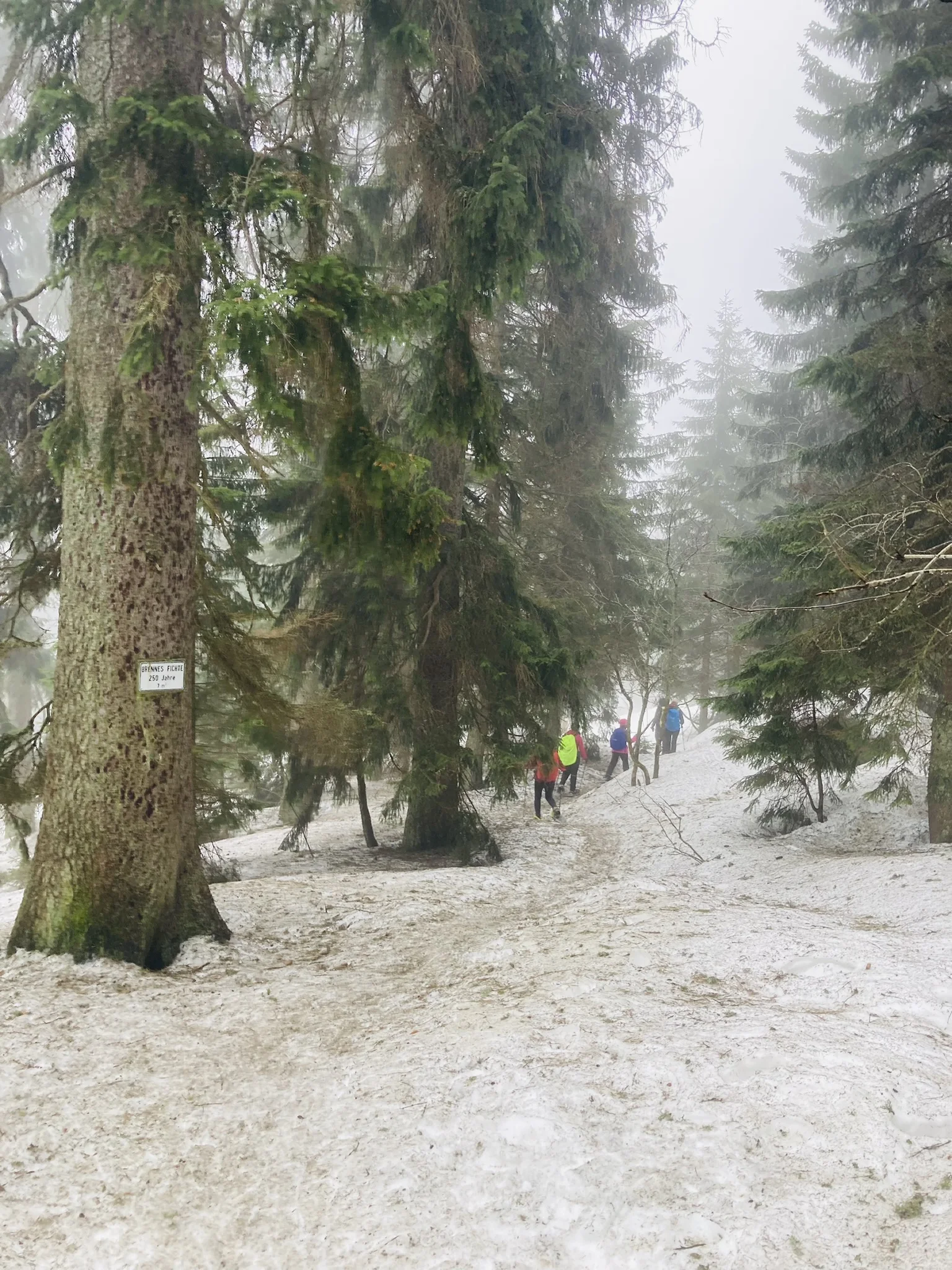 Mit Schneeschuhen auf den Großen Arber | © Killesreiter Marlene