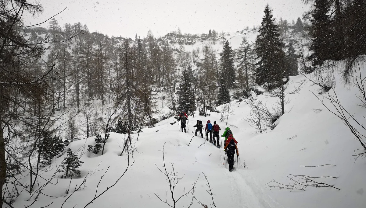 Mit Schneeschuhen auf das Chiemgauer Fellhorn | © Witzelsperger Karin