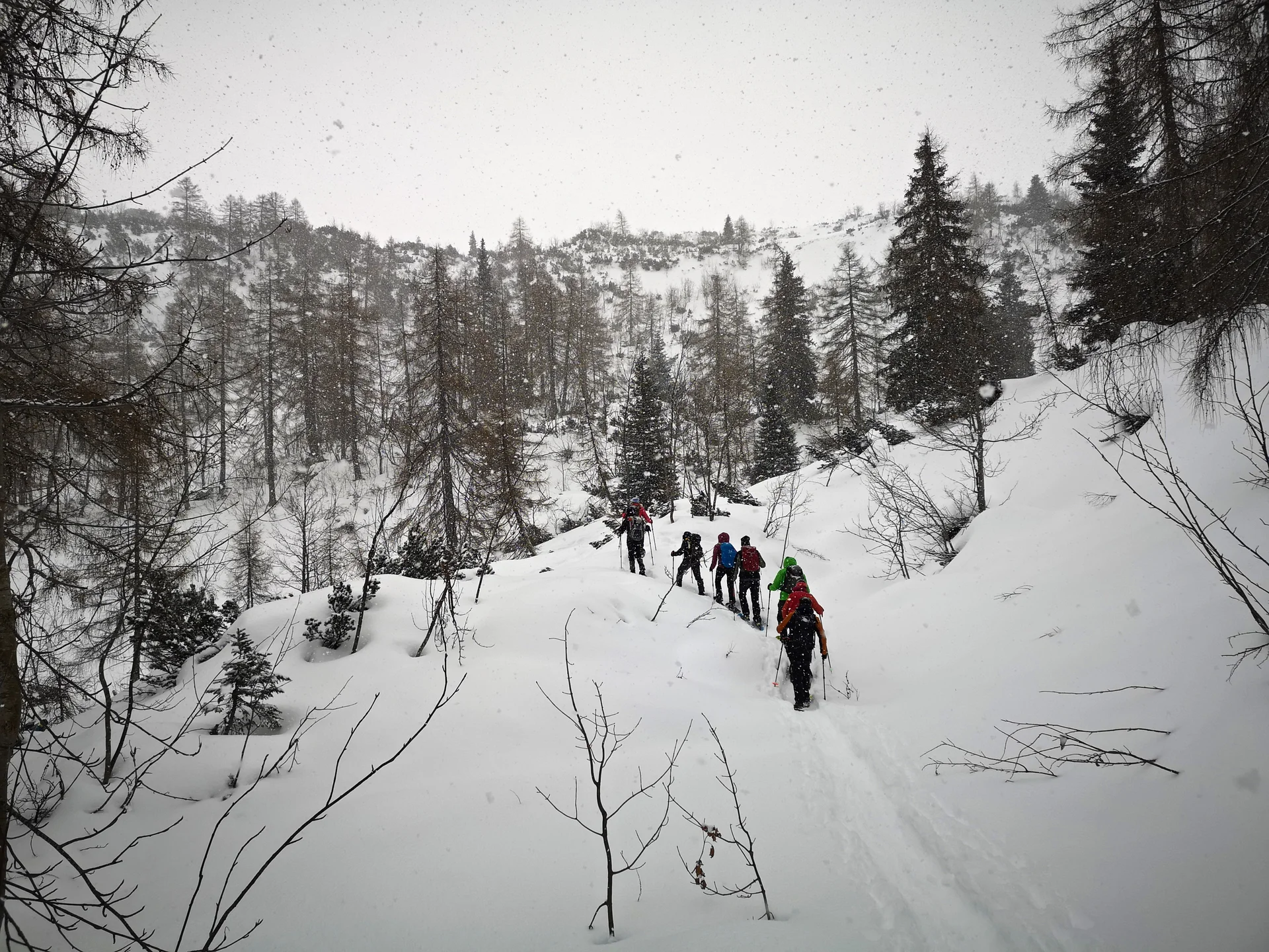 Mit Schneeschuhen auf das Chiemgauer Fellhorn | © Witzelsperger Karin