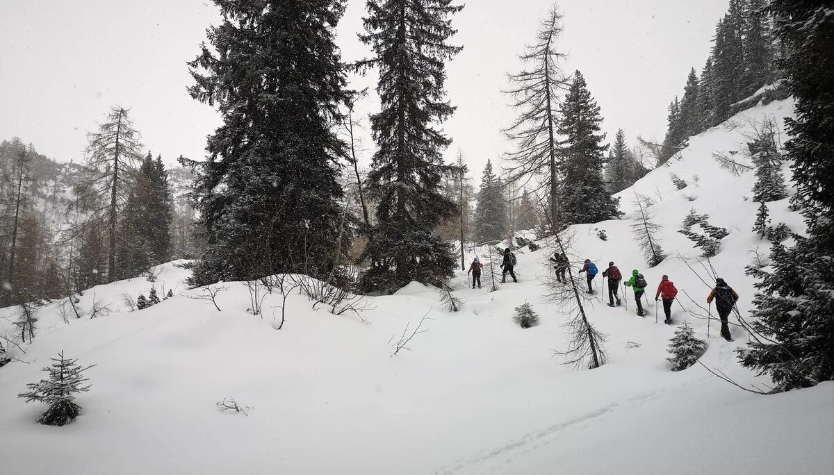 Mit Schneeschuhen auf das Chiemgauer Fellhorn | © Witzelsperger Karin