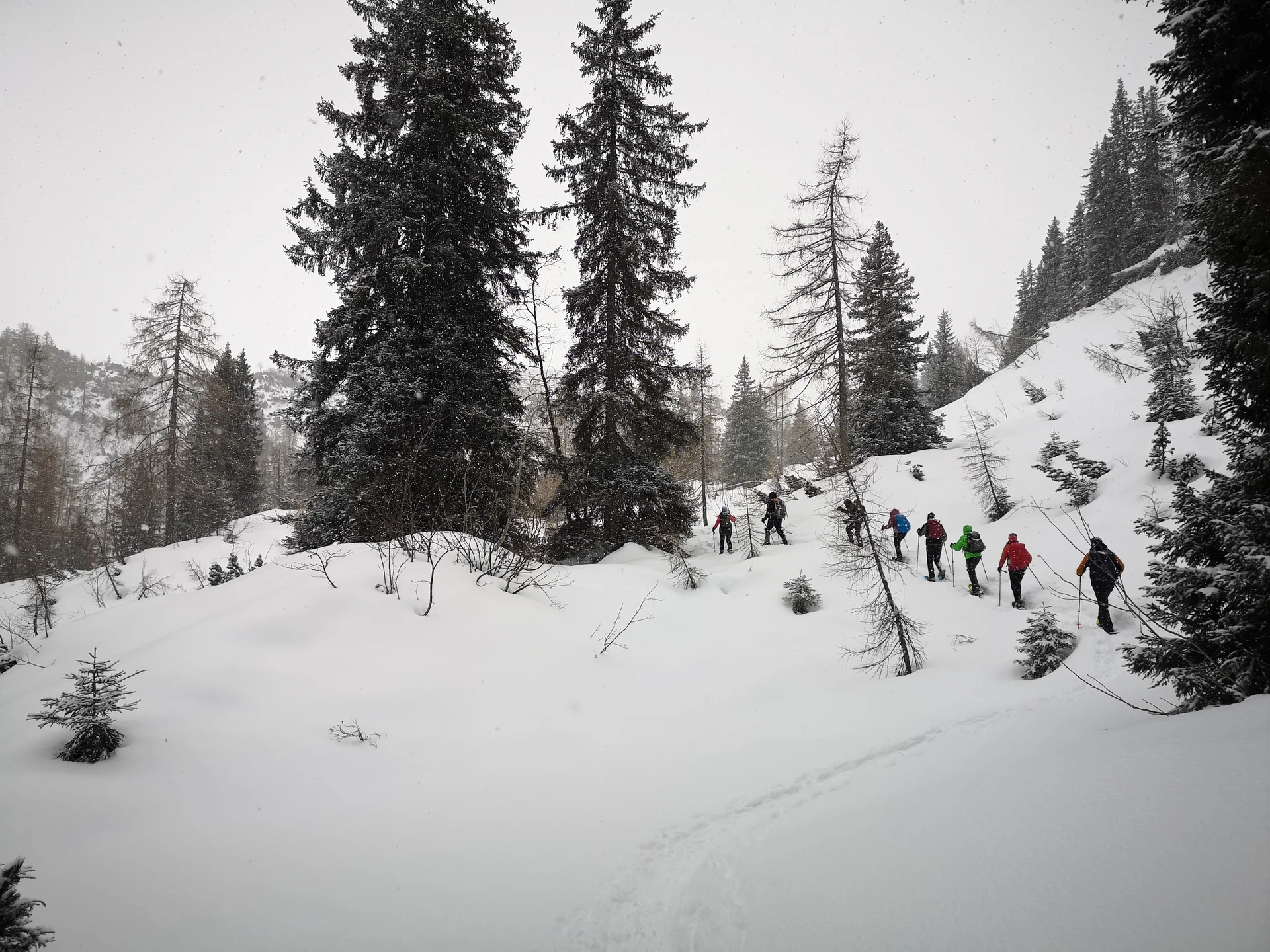 Mit Schneeschuhen auf das Chiemgauer Fellhorn | © Witzelsperger Karin