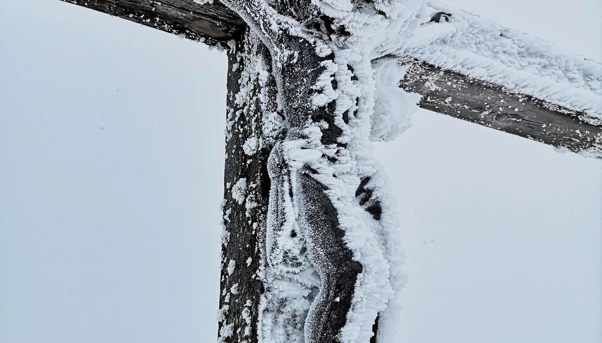 Mit Schneeschuhen auf das Chiemgauer Fellhorn | © Witzelsperger Karin