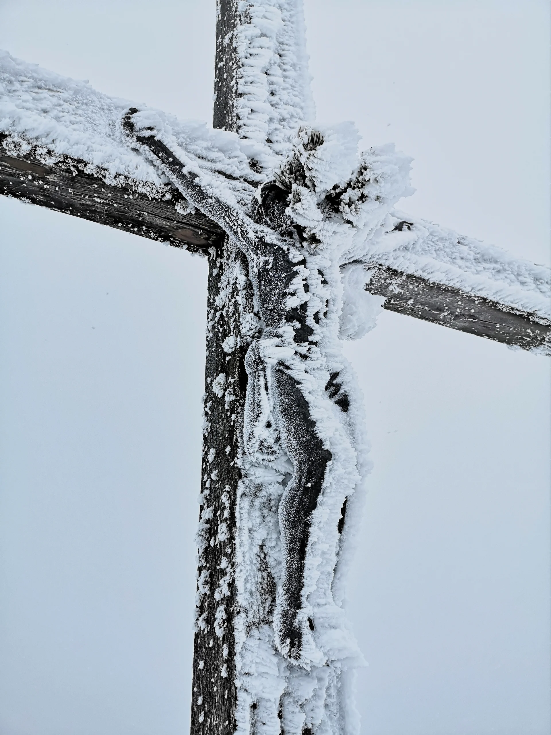 Mit Schneeschuhen auf das Chiemgauer Fellhorn | © Witzelsperger Karin