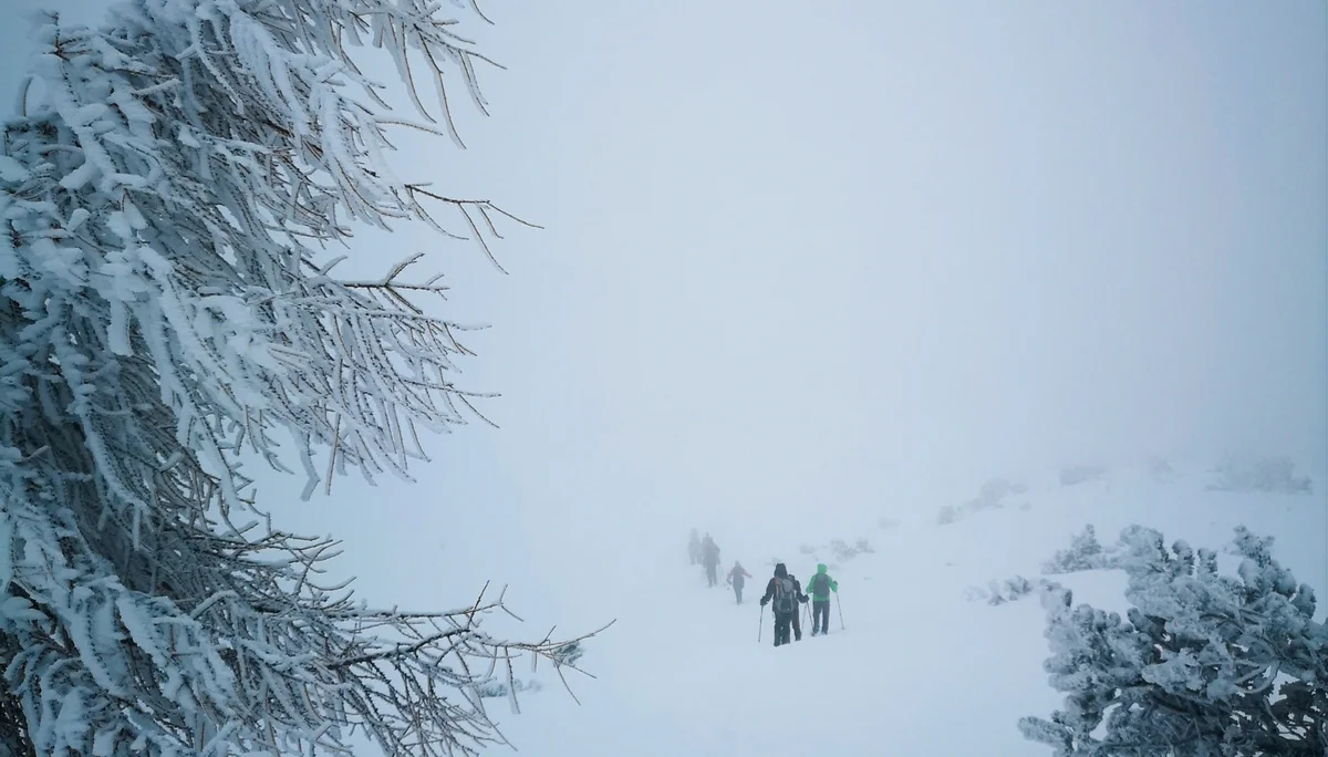 Mit Schneeschuhen auf das Chiemgauer Fellhorn | © Witzelsperger Karin