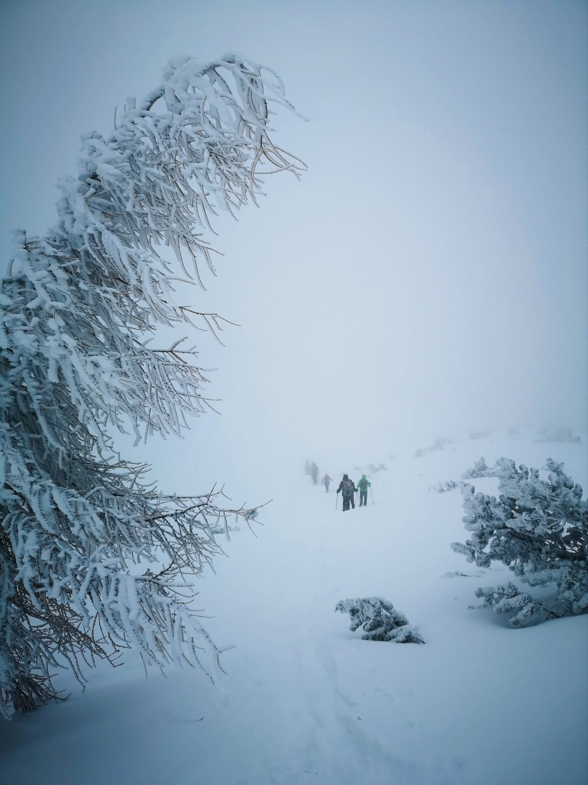 Mit Schneeschuhen auf das Chiemgauer Fellhorn | © Witzelsperger Karin