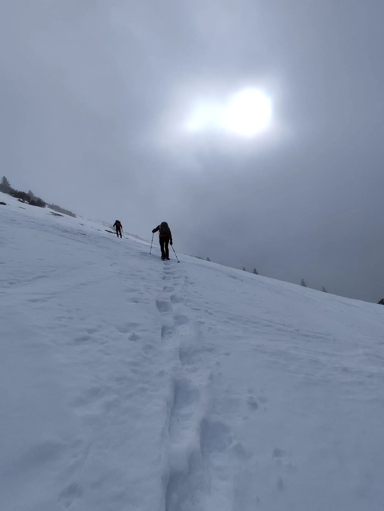 Schneeschuhtour auf den Schafreuter | © Witzelsperger Karin