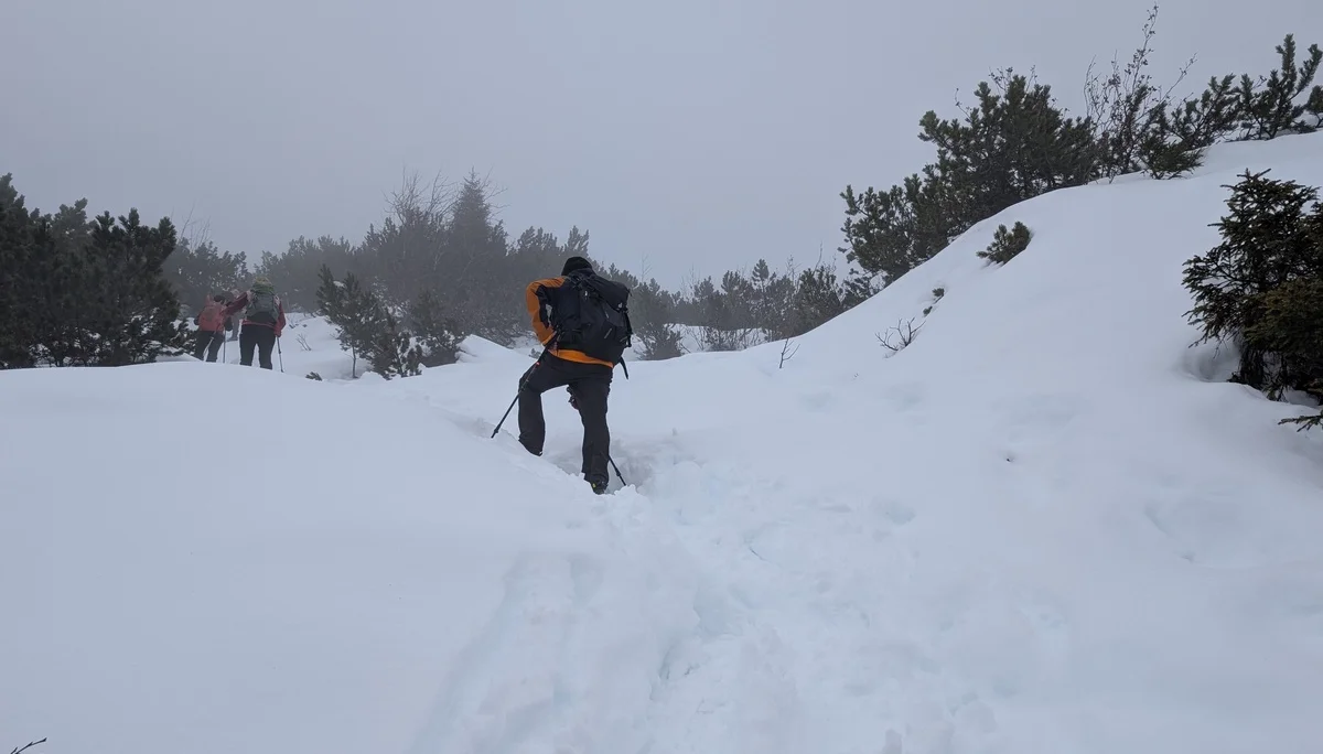 Schneeschuhtour auf den Schafreuter | © Witzelsperger Karin