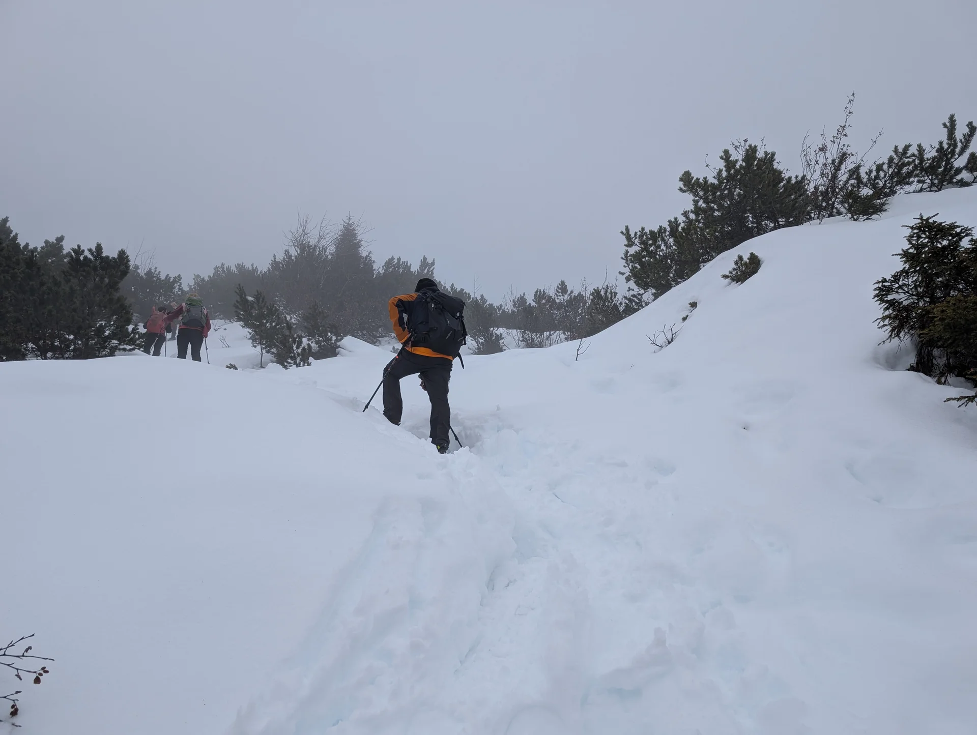 Schneeschuhtour auf den Schafreuter | © Witzelsperger Karin