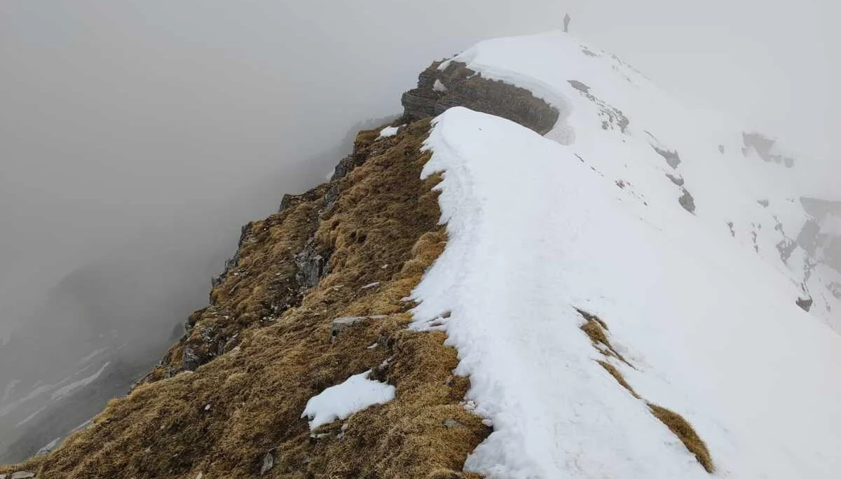Schneeschuhtour auf den Schafreuter | © Witzelsperger Karin