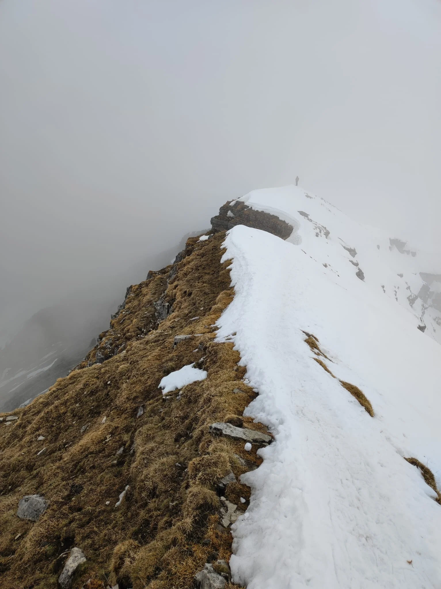 Schneeschuhtour auf den Schafreuter | © Witzelsperger Karin