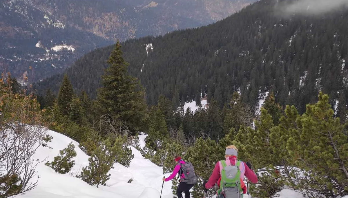 Schneeschuhtour auf den Schafreuter | © Witzelsperger Karin