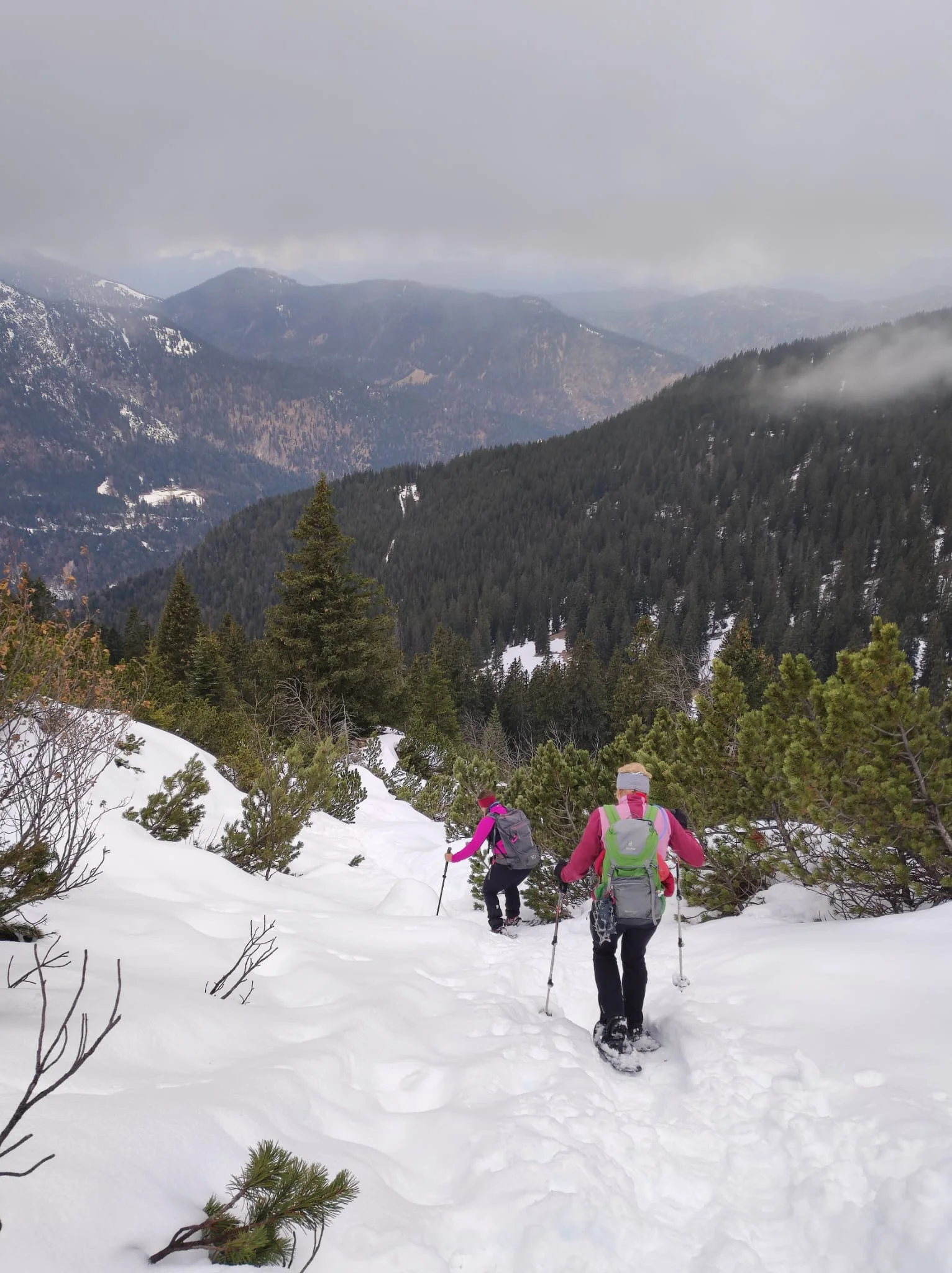 Schneeschuhtour auf den Schafreuter | © Witzelsperger Karin