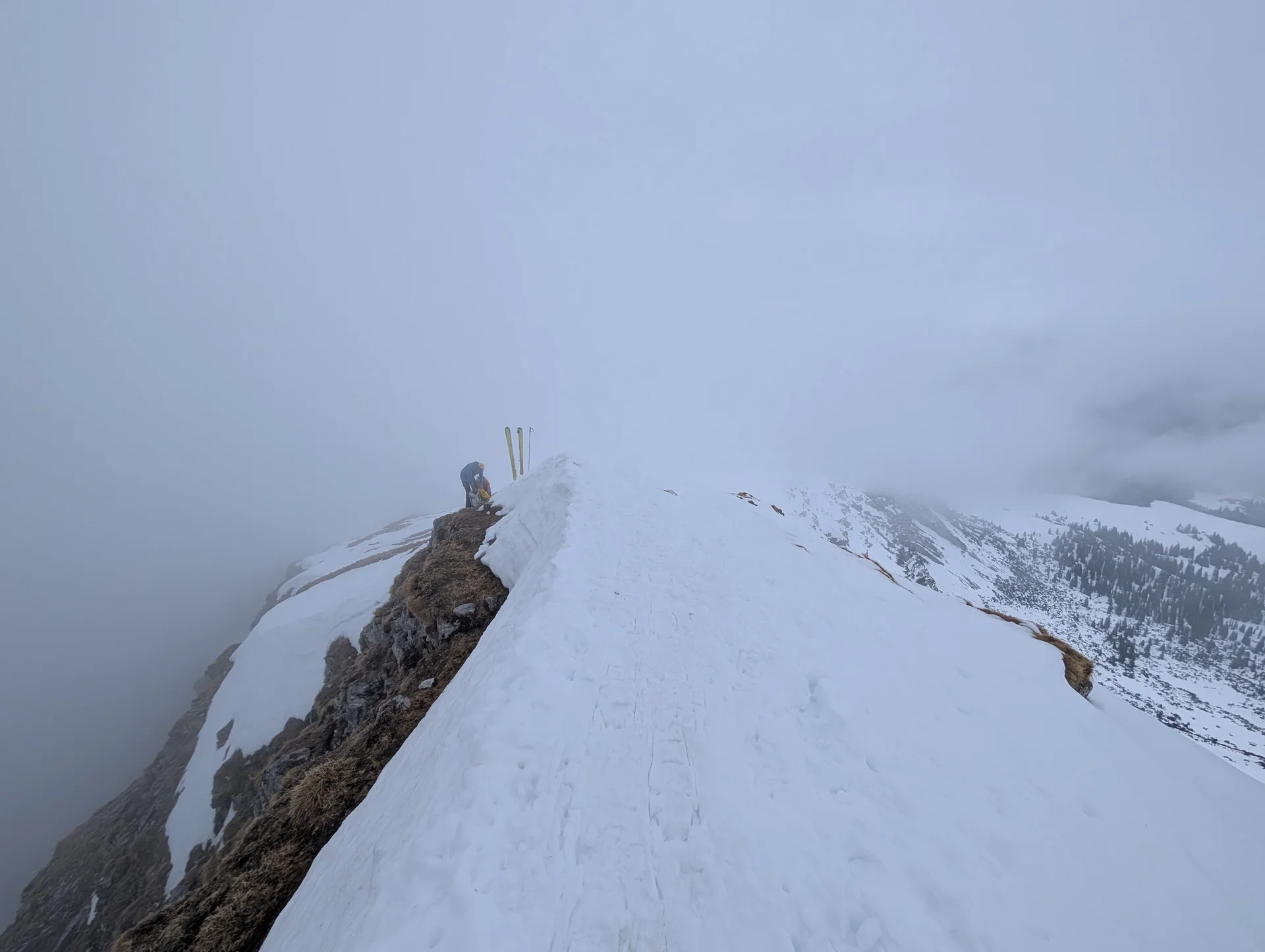 Schneeschuhtour auf den Schafreuter | © Witzelsperger Karin