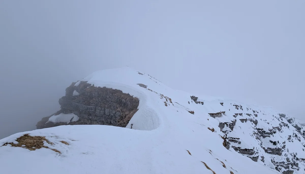 Schneeschuhtour auf den Schafreuter | © Witzelsperger Karin