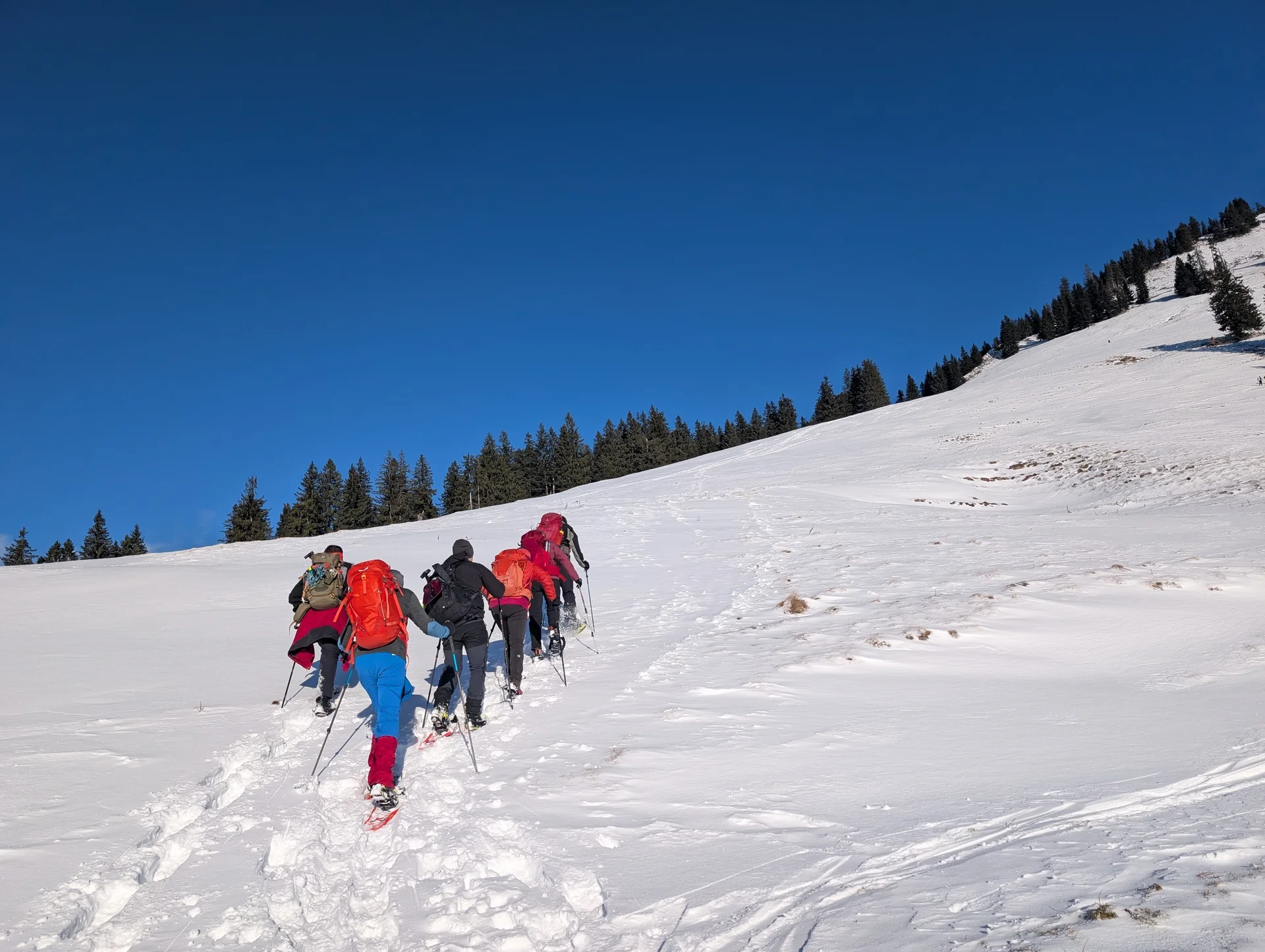 Mit Schneeschuhen auf die Haaralmschneid | © Witzelsperger Karin