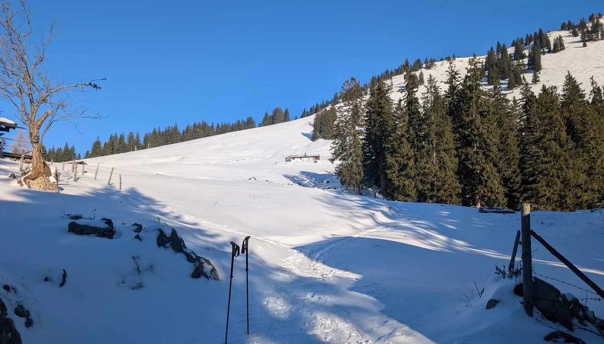 Mit Schneeschuhen auf die Haaralmschneid | © Witzelsperger Karin