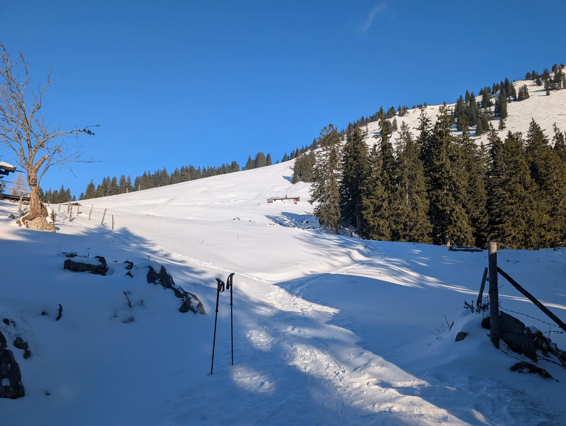 Mit Schneeschuhen auf die Haaralmschneid | © Witzelsperger Karin