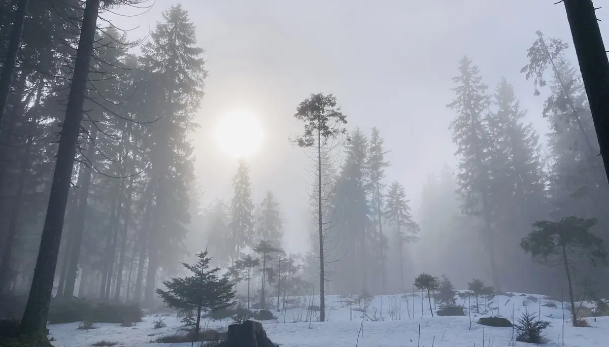 Schneeschuhtour zum Berghaus Sonnenfels | © Killesreiter Marlene