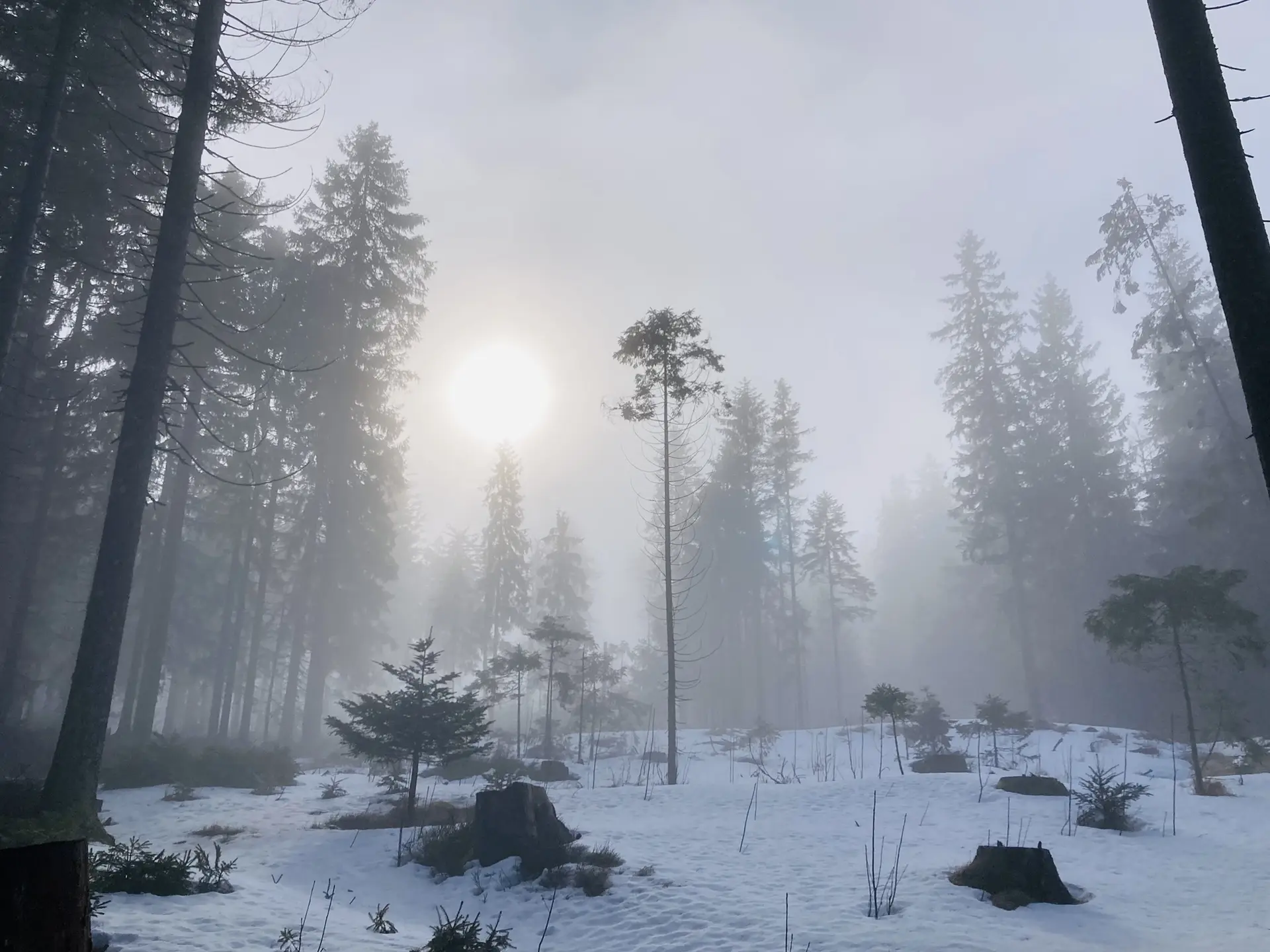 Schneeschuhtour zum Berghaus Sonnenfels | © Killesreiter Marlene