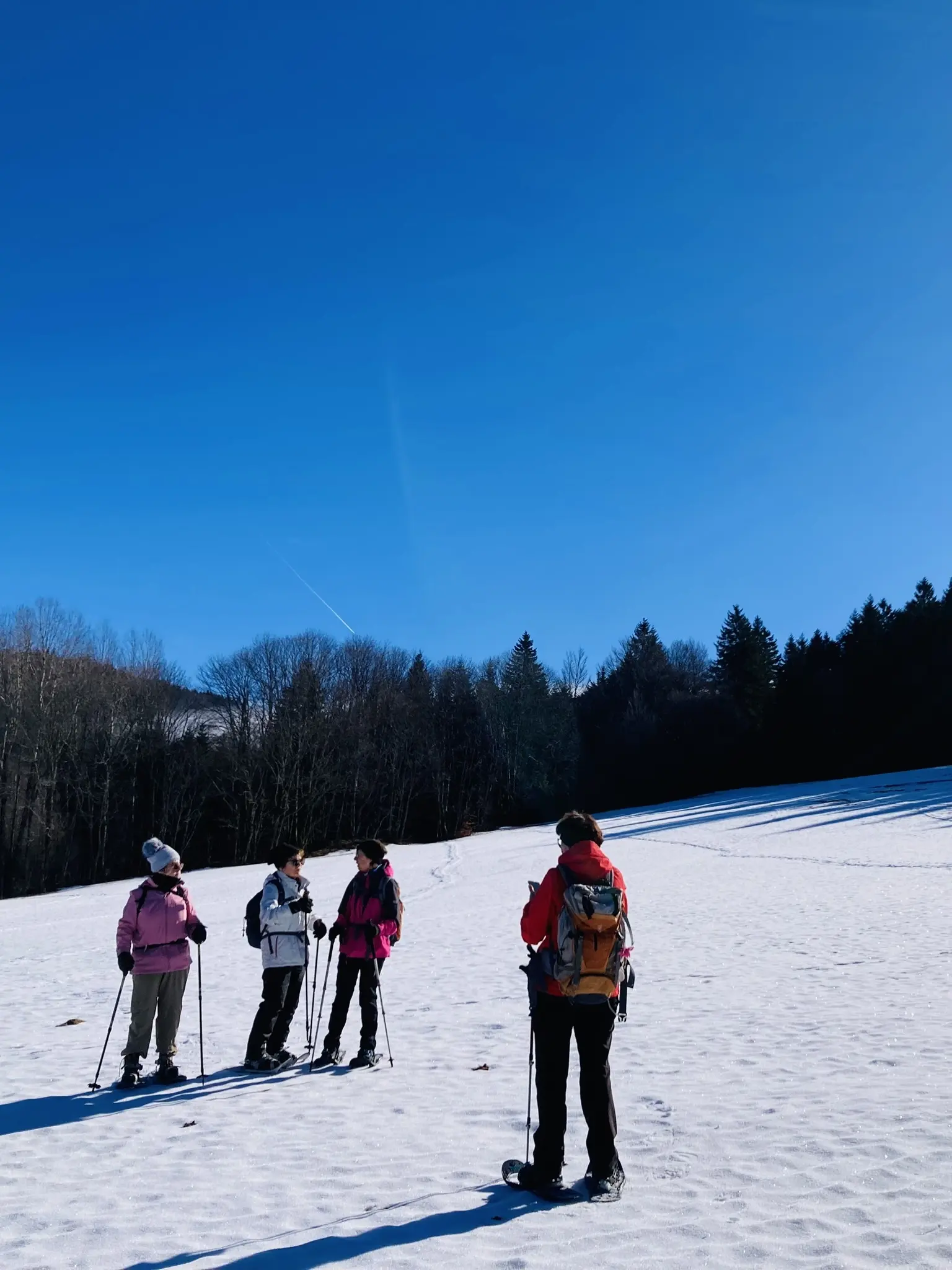 Schneeschuhtour zum Berghaus Sonnenfels | © Killesreiter Marlene