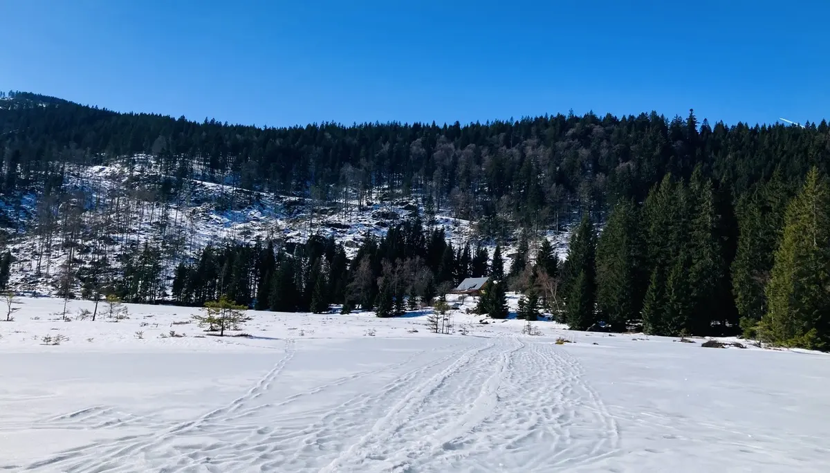 Schneeschuhtour zum Berghaus Sonnenfels | © Killesreiter Marlene