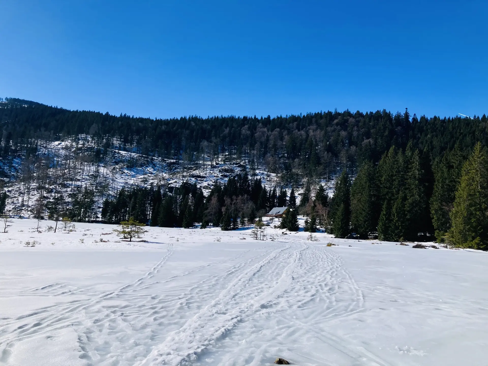Schneeschuhtour zum Berghaus Sonnenfels | © Killesreiter Marlene