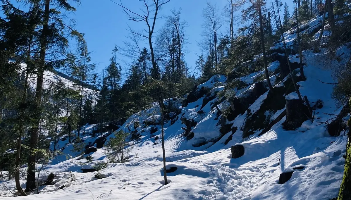 Schneeschuhtour zum Berghaus Sonnenfels | © Killesreiter Marlene